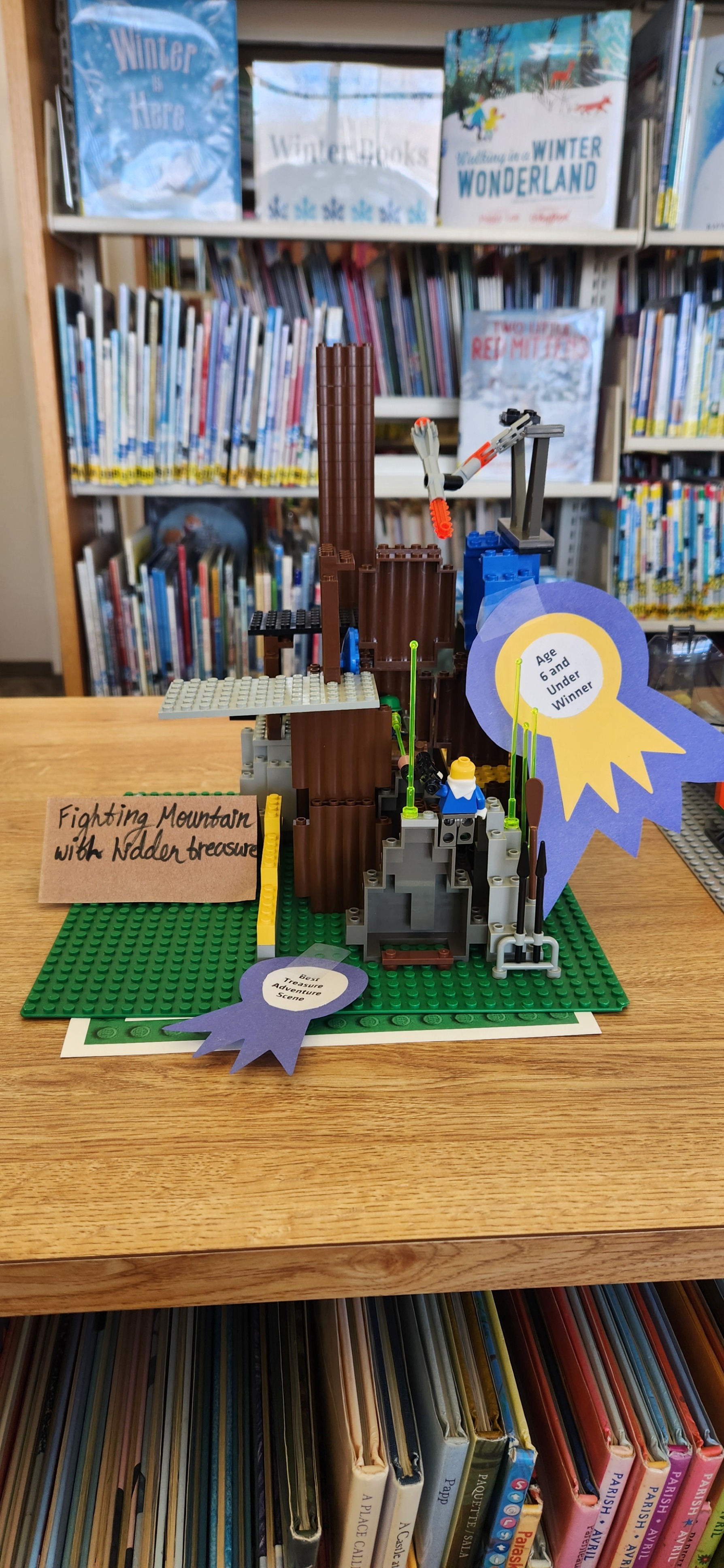 6 2025 LEGO Winner.jpg