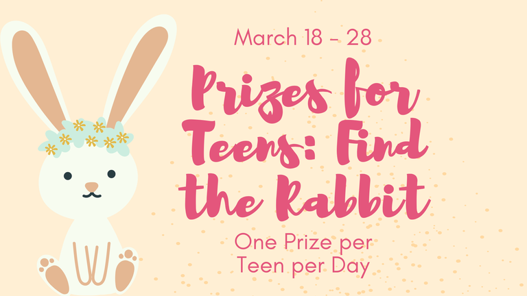 Teen Find the Rabbit TV Display 24.png